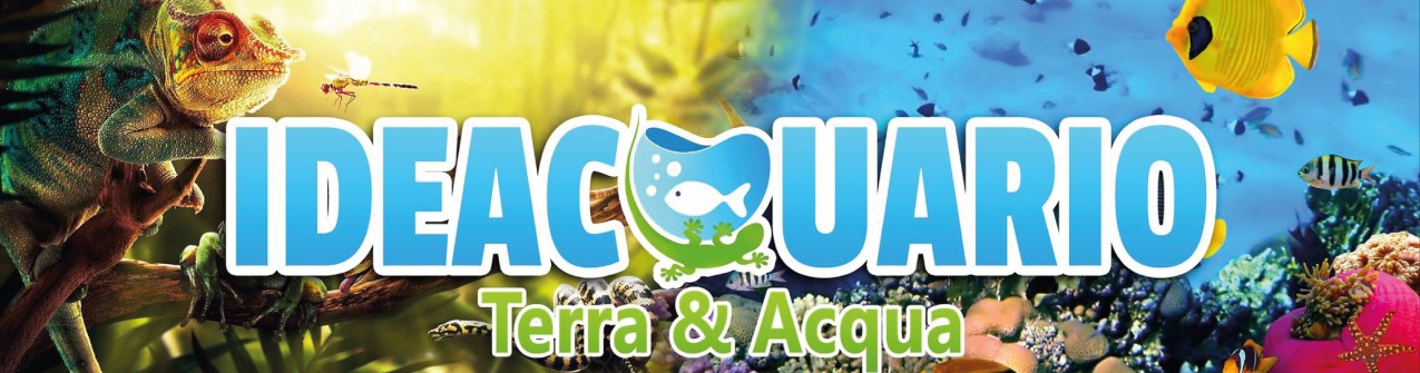 Ideacquario